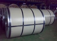 RAL Color Galvanized Prepainted Steel Coils in Soft Commercial Quality